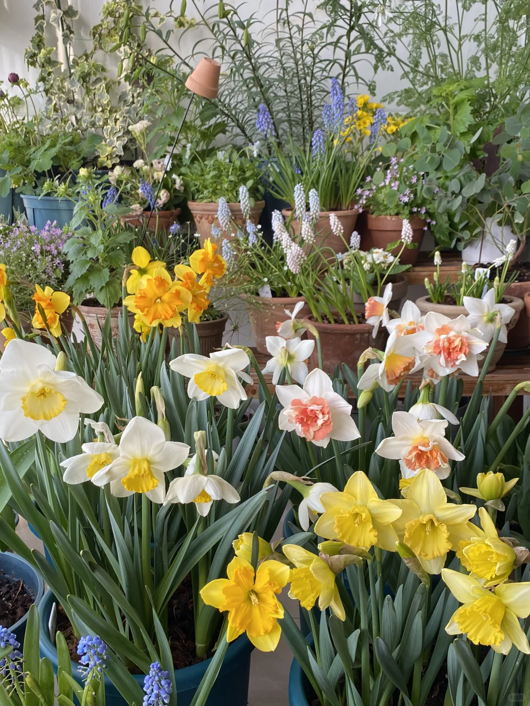 此时此刻我家???