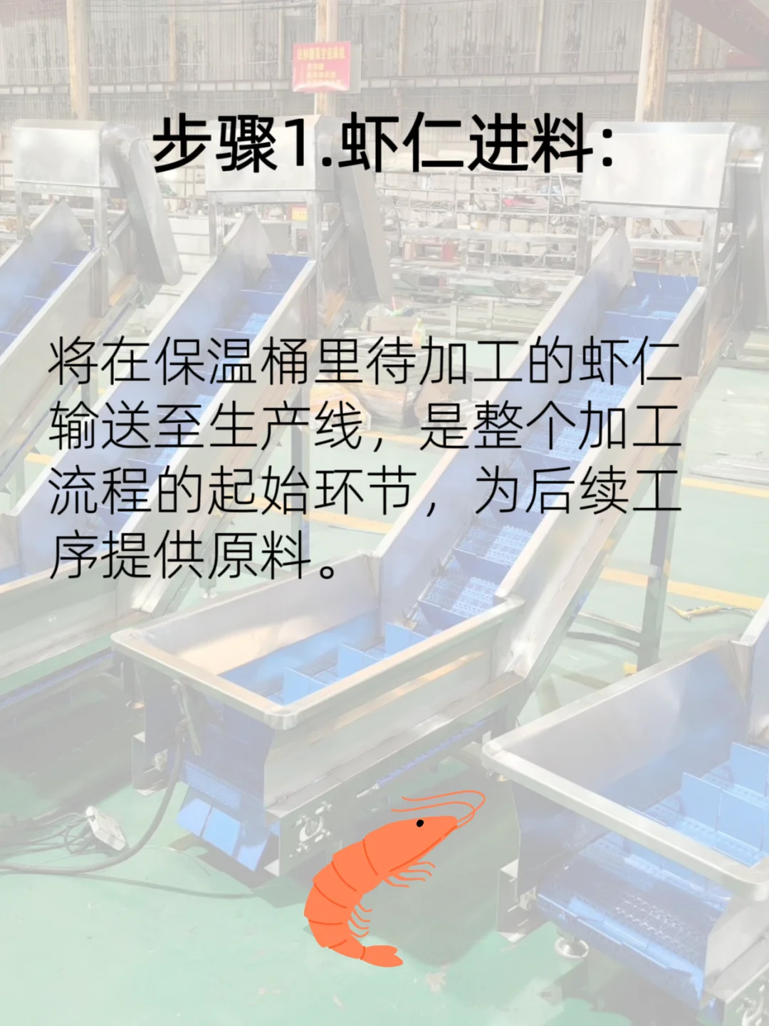 虾仁加工至虾滑流水线流程