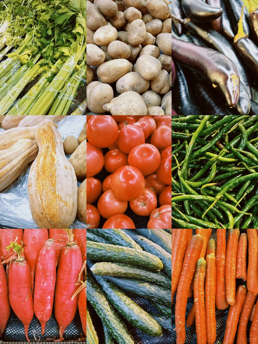 菜市场 ｜有在为生活好好选菜吗？