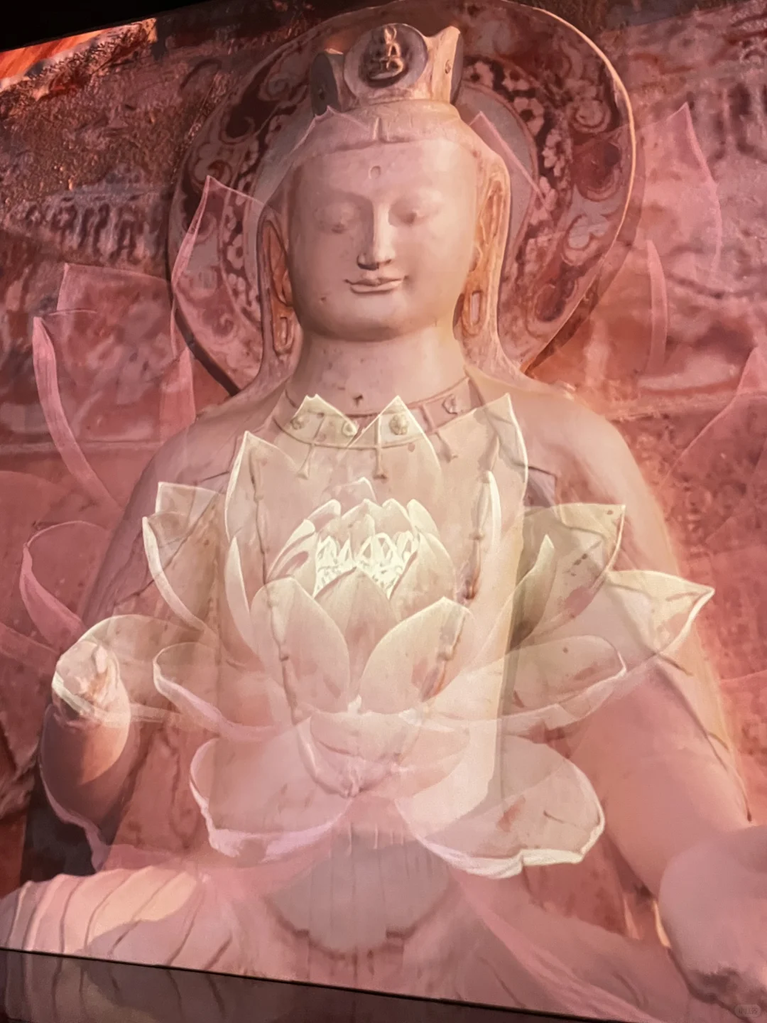 深圳新展｜这个文物艺术特展美到我了❗️