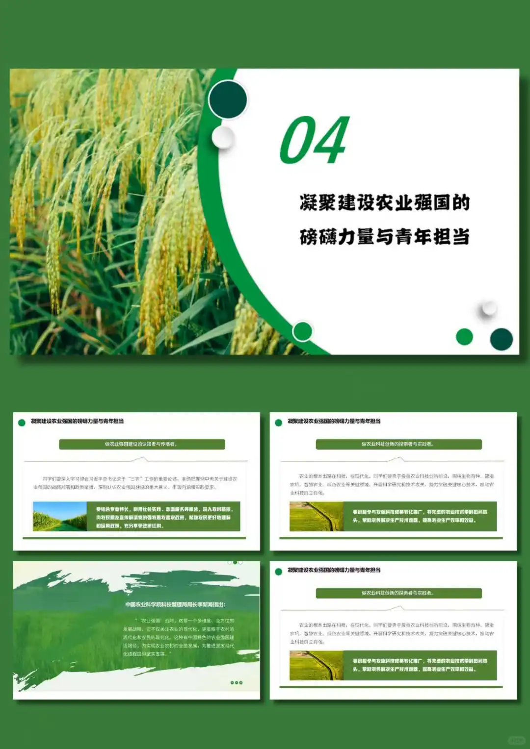 No.142‖形势与政策之阔步迈向农业强国