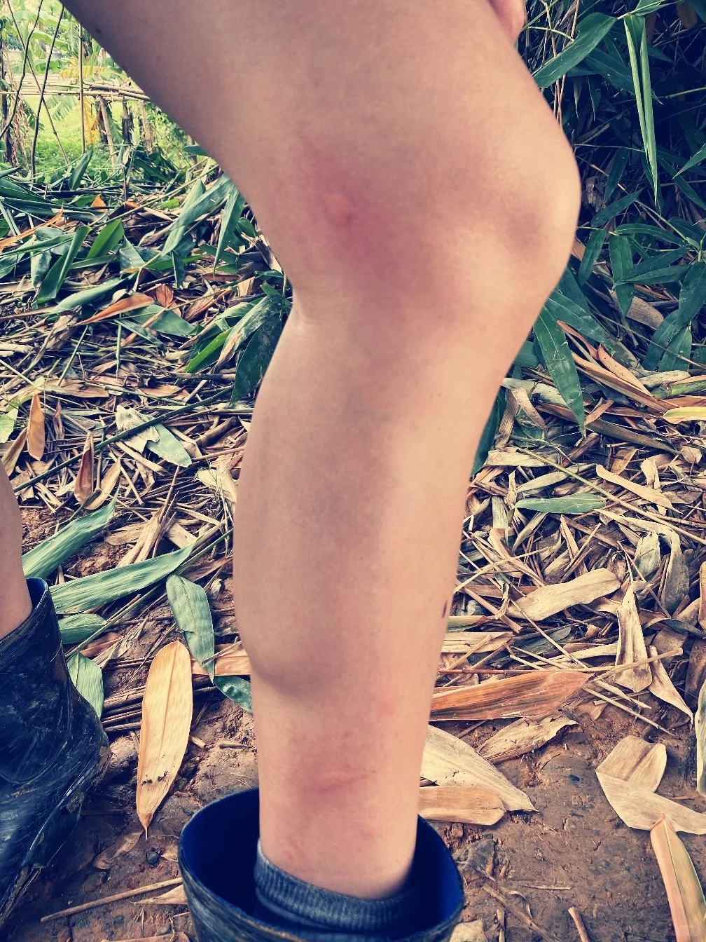 绿色田园与大龄青年