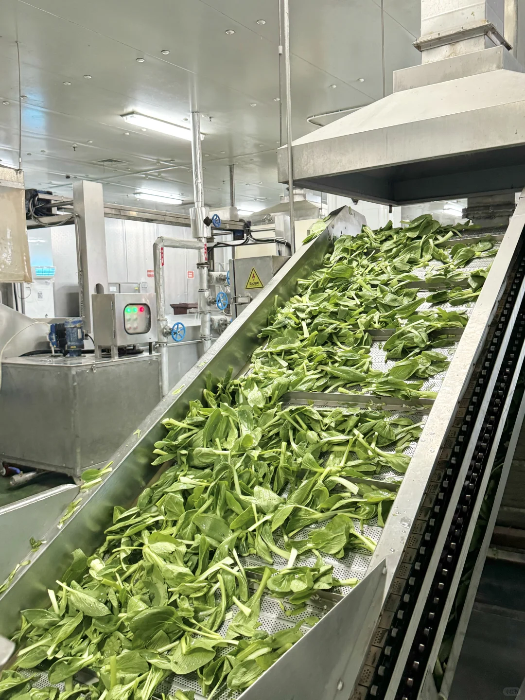 滴！恭喜我拿到巴比工厂一日厂妹体验卡！