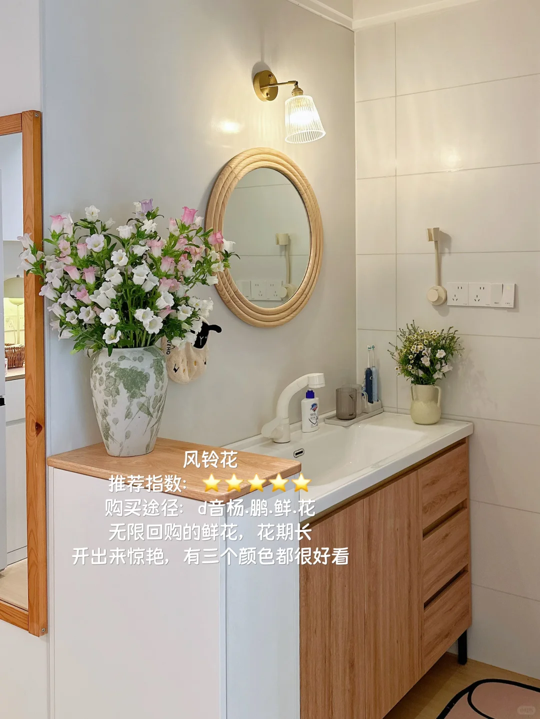 原木风小家入住一年，分享家里的一些植物