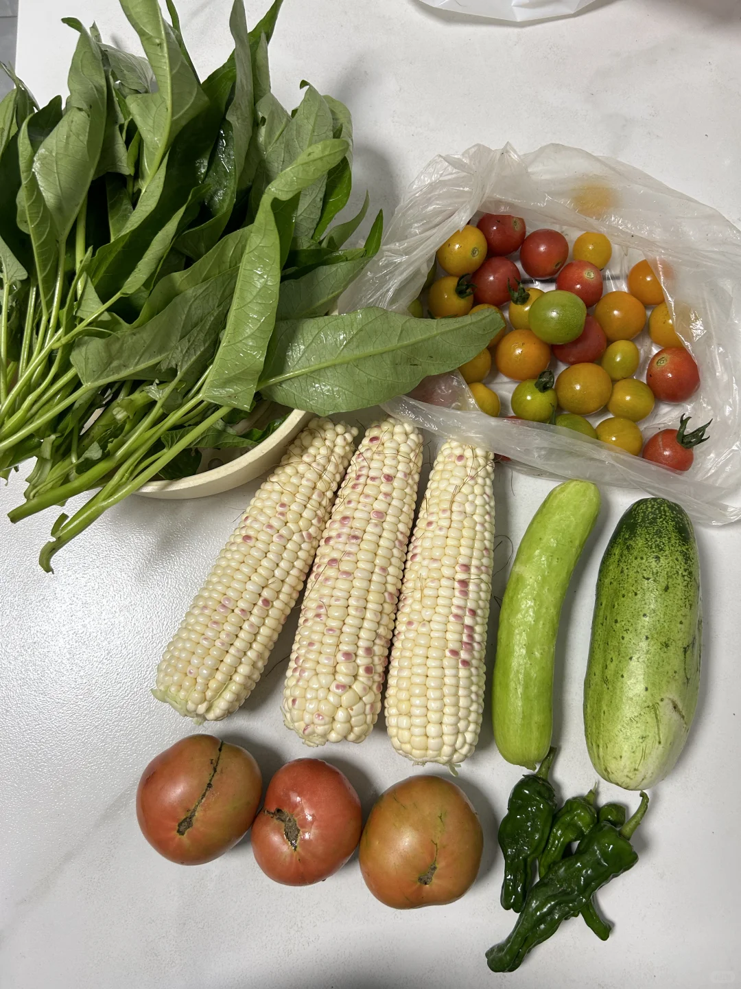 我家的时令蔬菜???