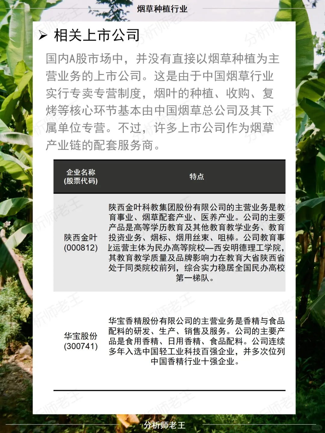 烟草种植行业
