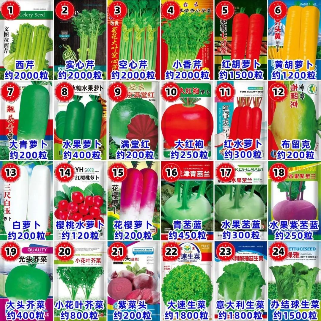 原来种子也有这么多呢