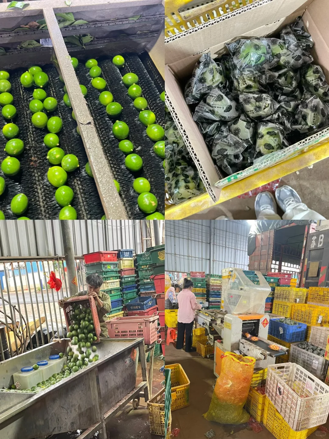 ?小潮人下乡记? Day3～