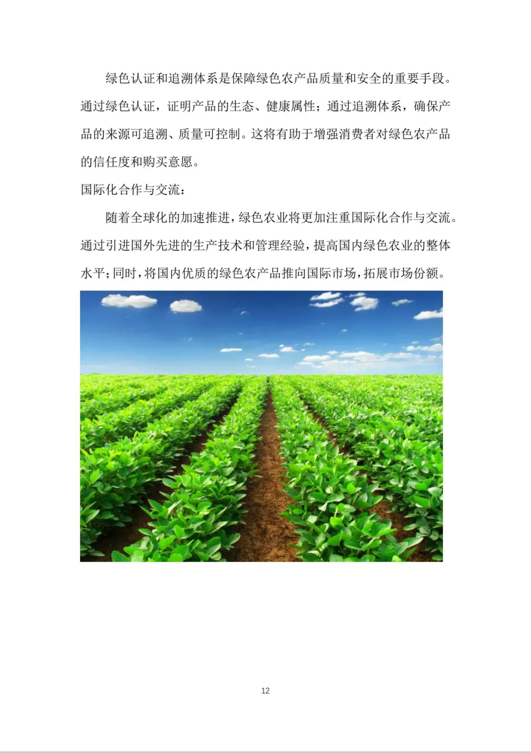 绿色农业商业计划书word＋PPT