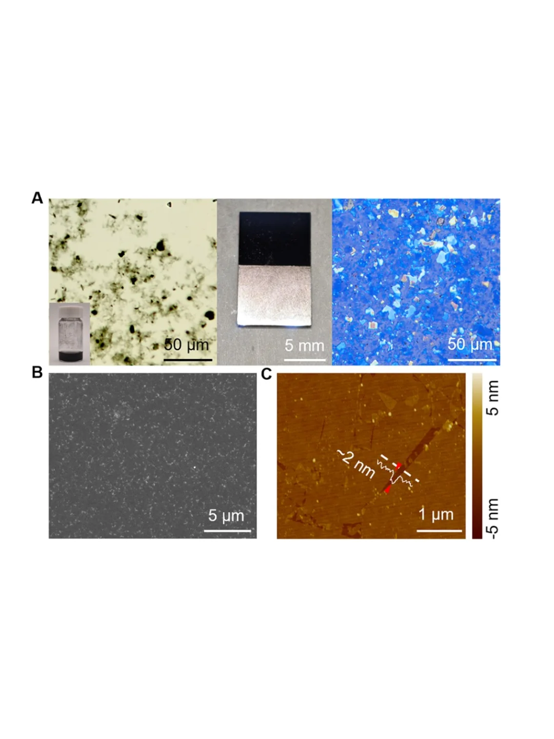 JACS：粗悬浮液中制备致密单层2D材料