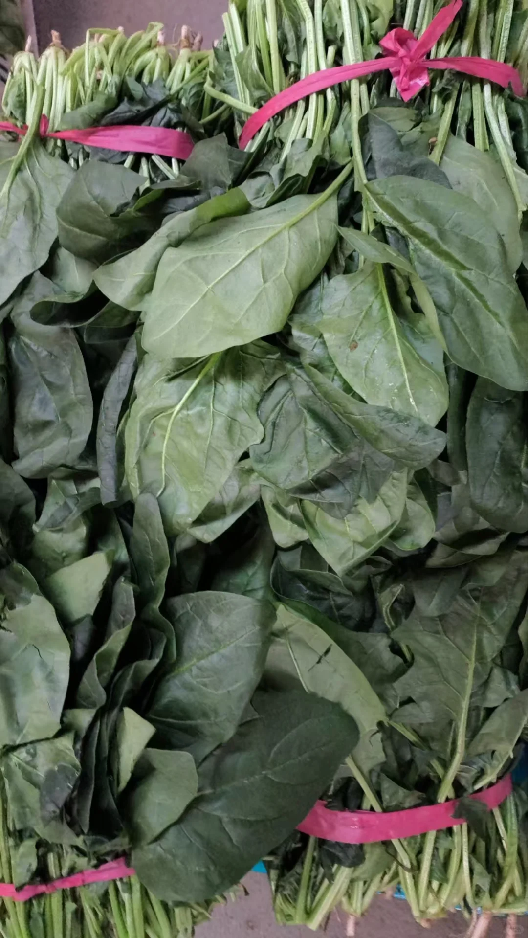 饭店老板的救星⭐蔬菜批发商的日常