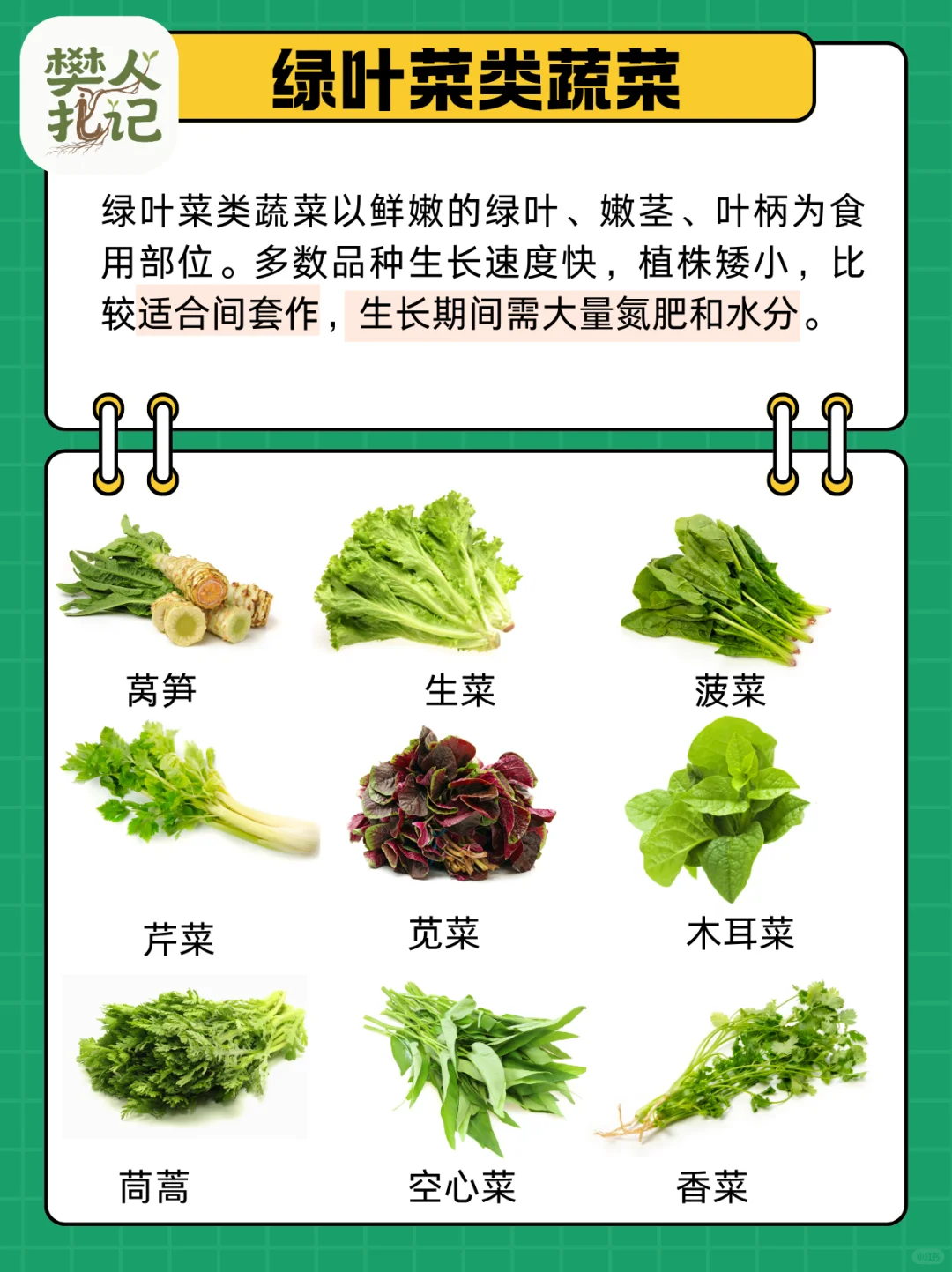 蔬菜清单（下）?种什么菜？什么菜好种？