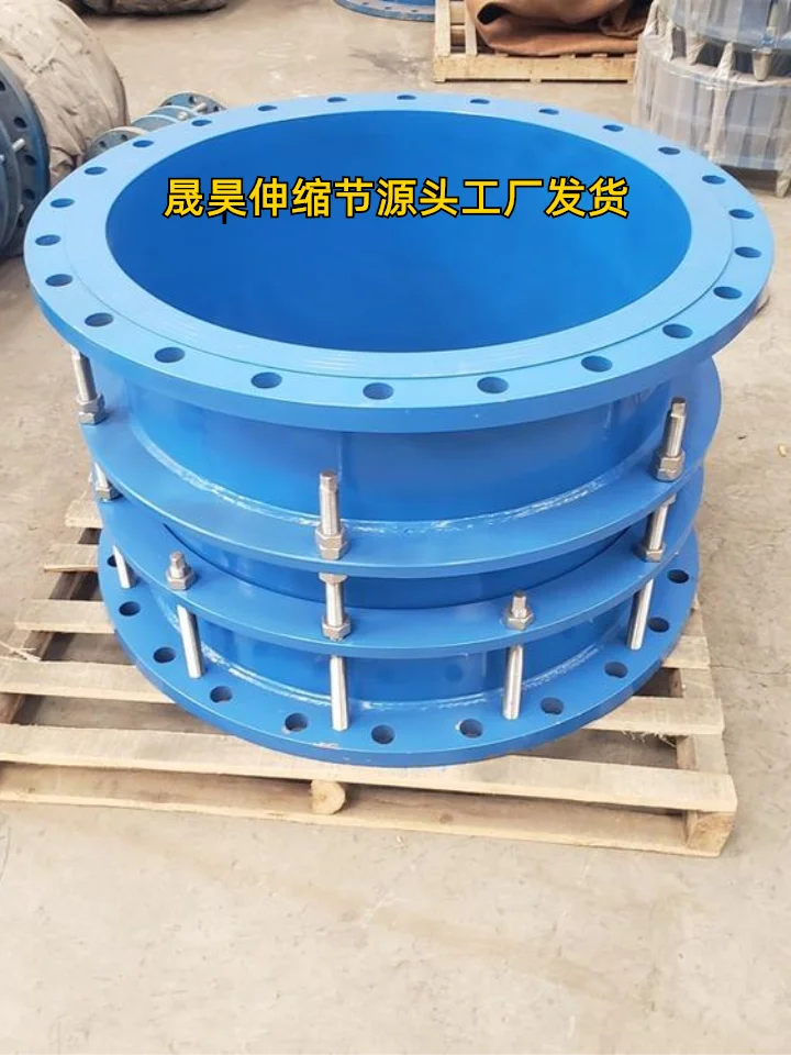 益阳DN80泵阀伸缩节