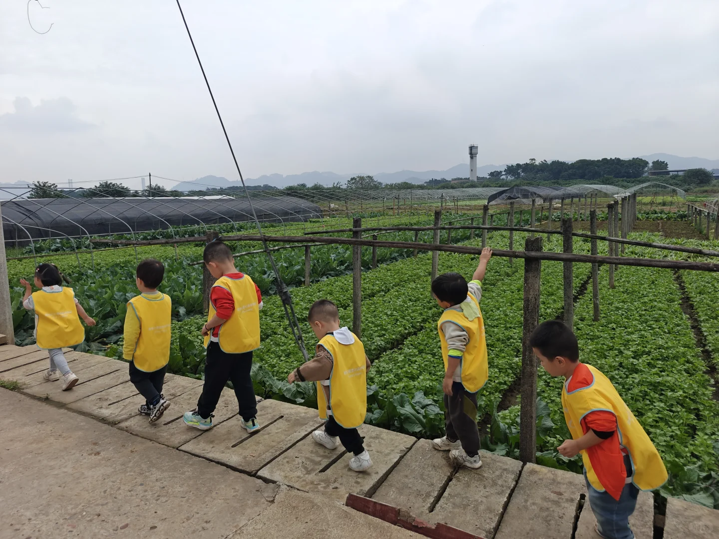 亲子游 | 巴南中坝岛 蔬菜采摘