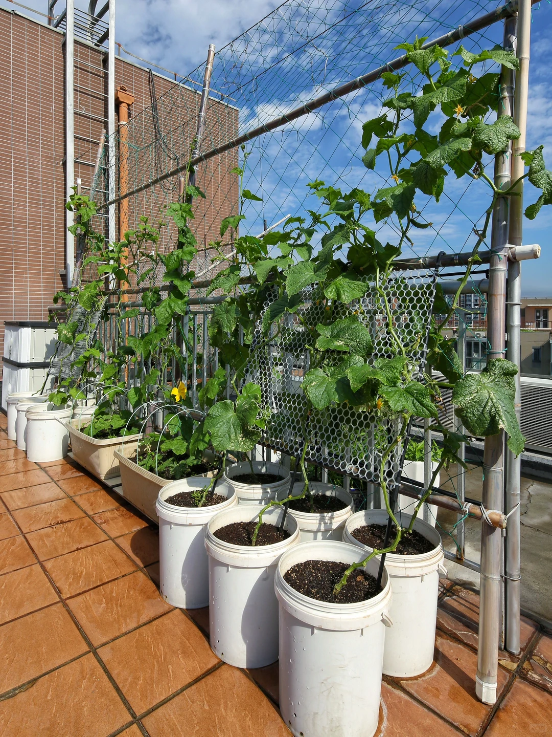 春天辛勤的播种，终于迎来收获满满的采收！