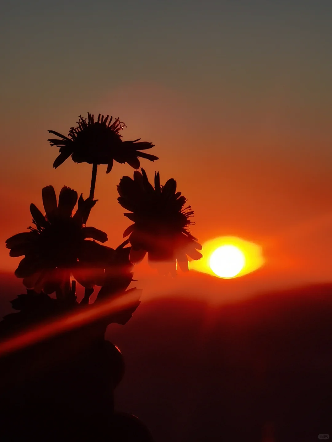 ?武功山反穿攻略｜2天1夜暴走31km 捡垃圾