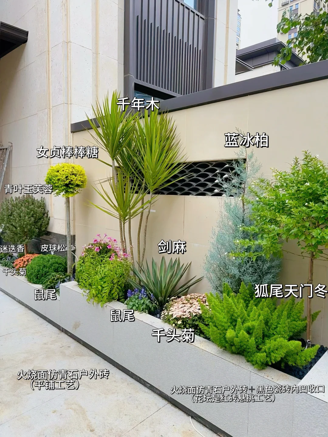 好多姐妹问的绿植详细版来啦?