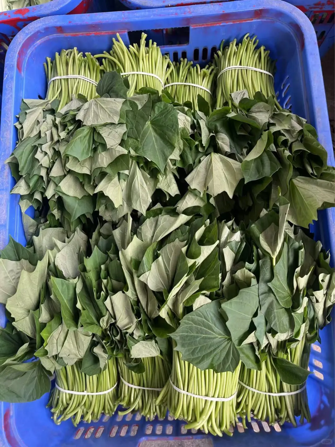 重生之90后辞职创业搞蔬菜批发?