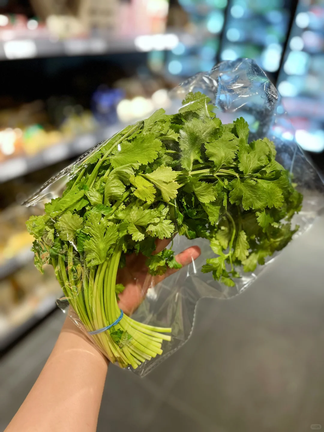 这些菜你都认识吗