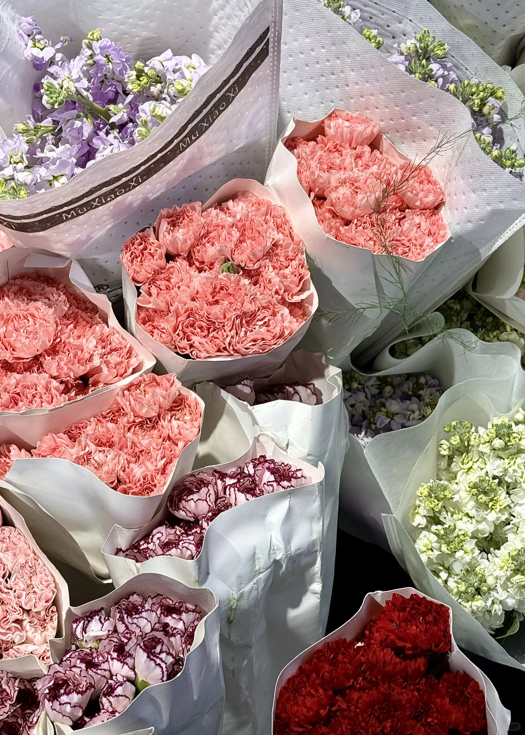 两百多的绿植买到赚到