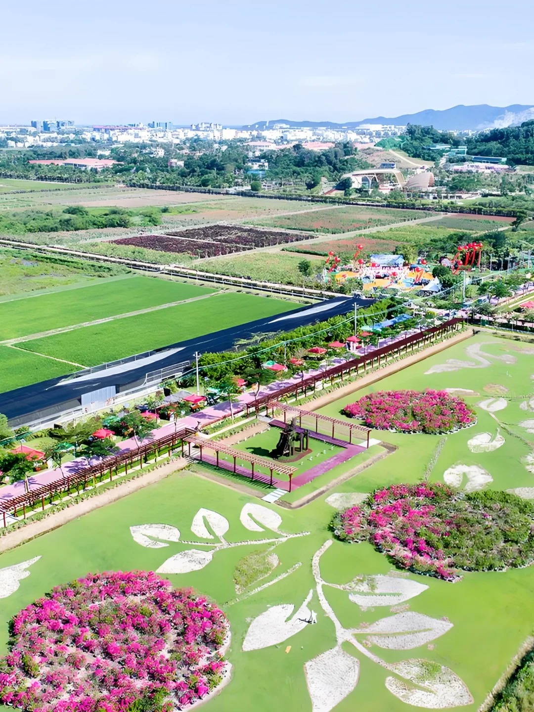 ?农业市场未来走向何方？