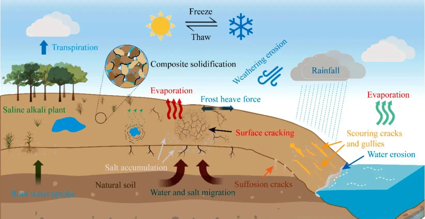 盐渍土开裂难题？复合固化一招破解?