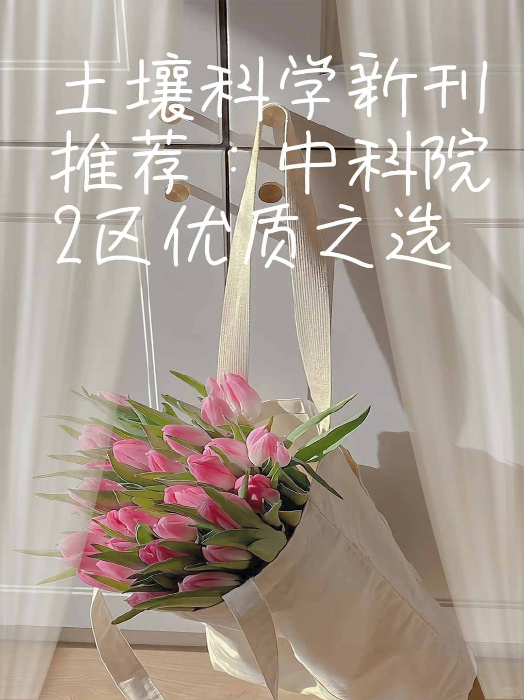 土壤科学新刊推荐：中科院2区优质之选