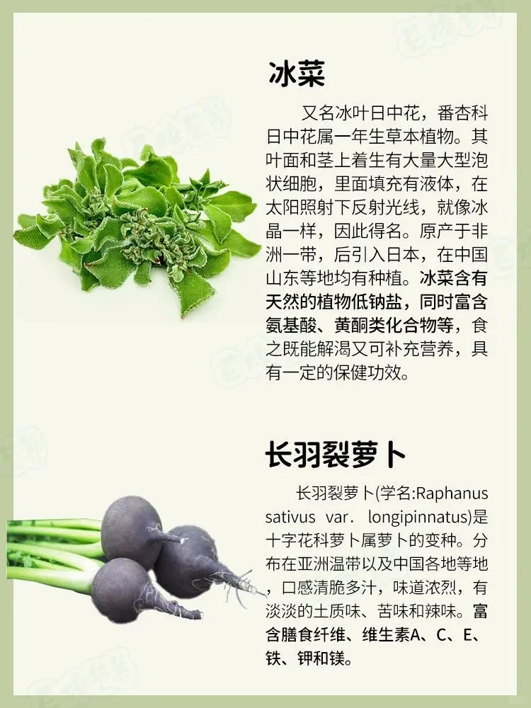 奇葩蔬菜，认识3种算你厉害！