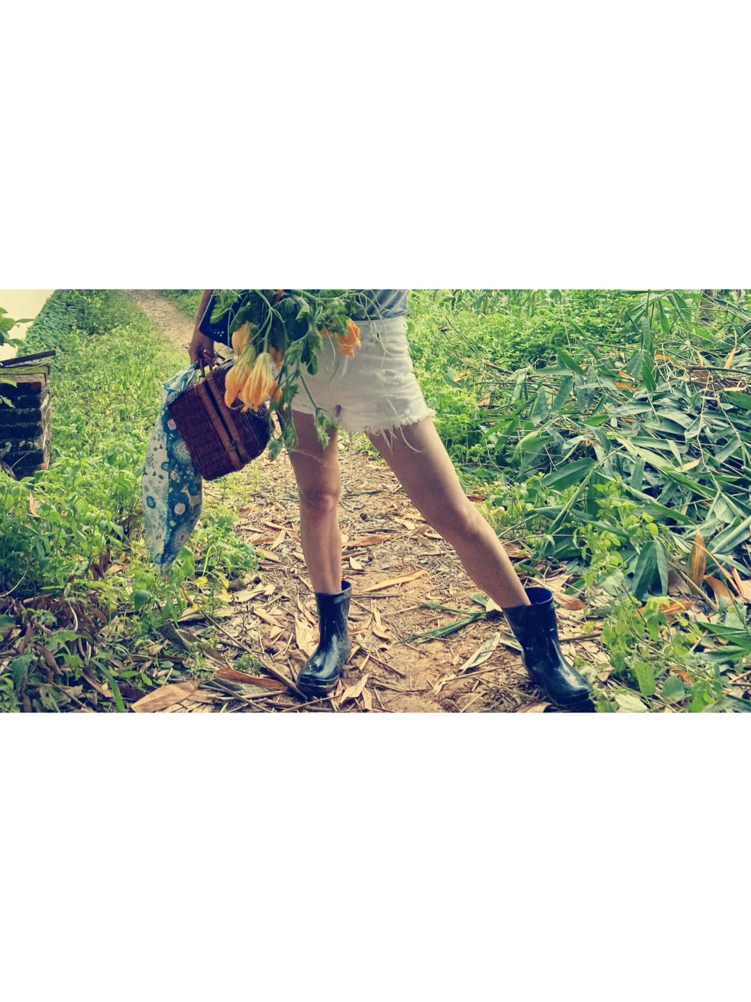 绿色田园与大龄青年