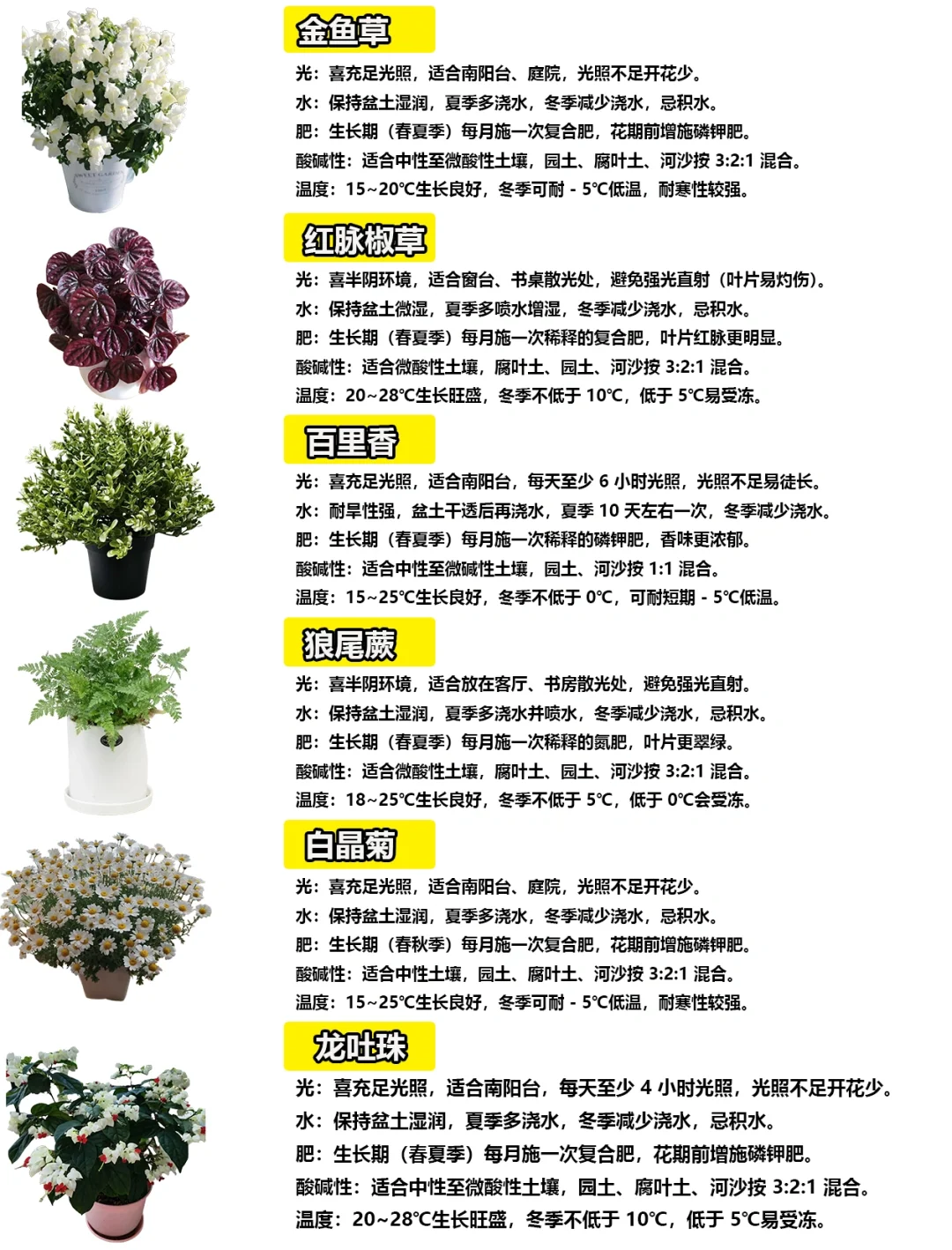 108种绿植花卉养护手册大全