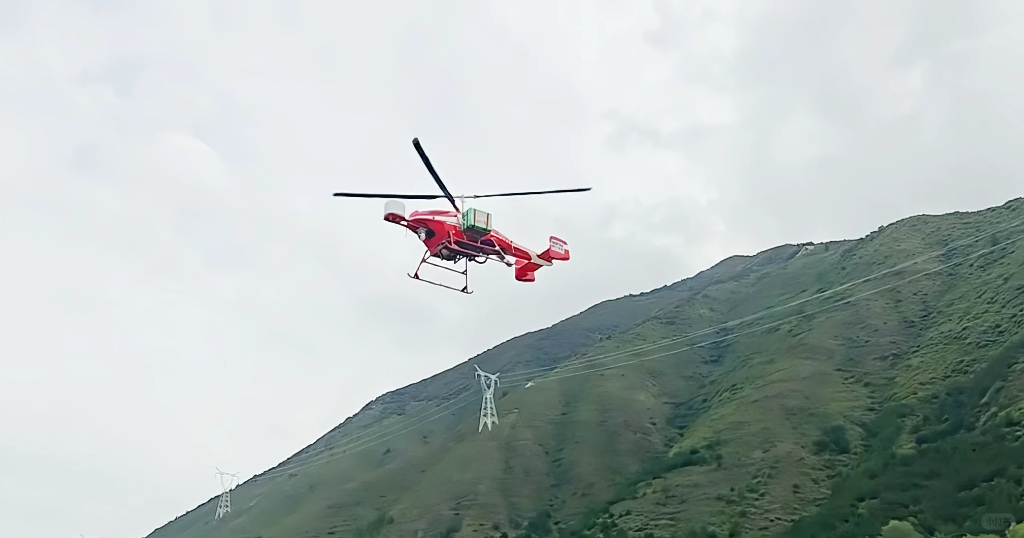 无人直升机送草莓上天 四川低空物流起飞啦