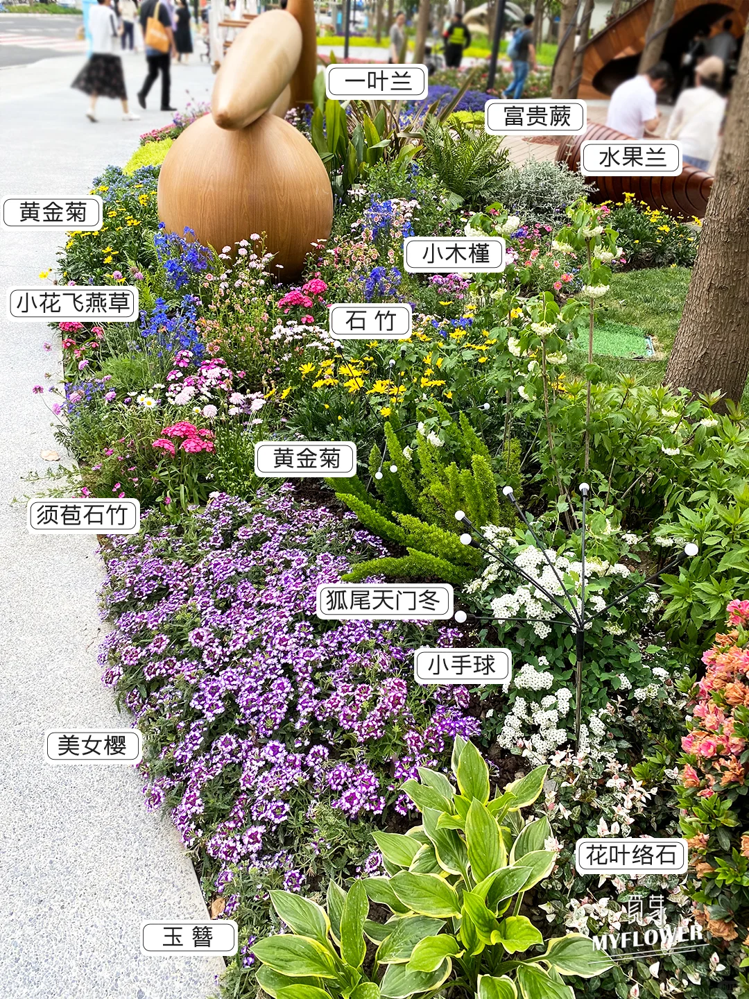 超美魔都街头！上海路边花境绿化植物大赏