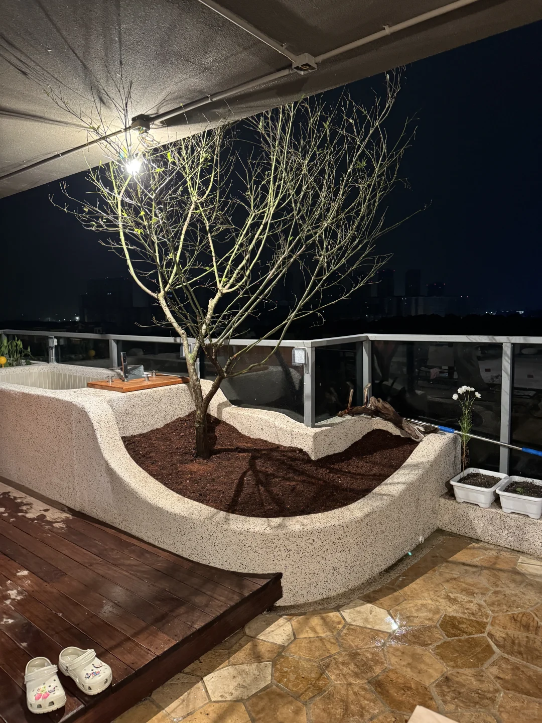 ?生活边角料｜买了棵树? 很重很头疼