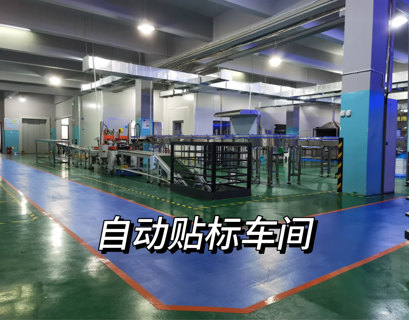 今天不忙别的，看看车间环境