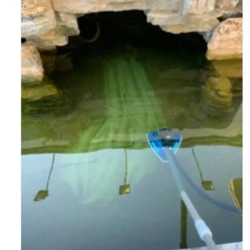 ?锦鲤鱼池清洁神器！双头吸污超省心?