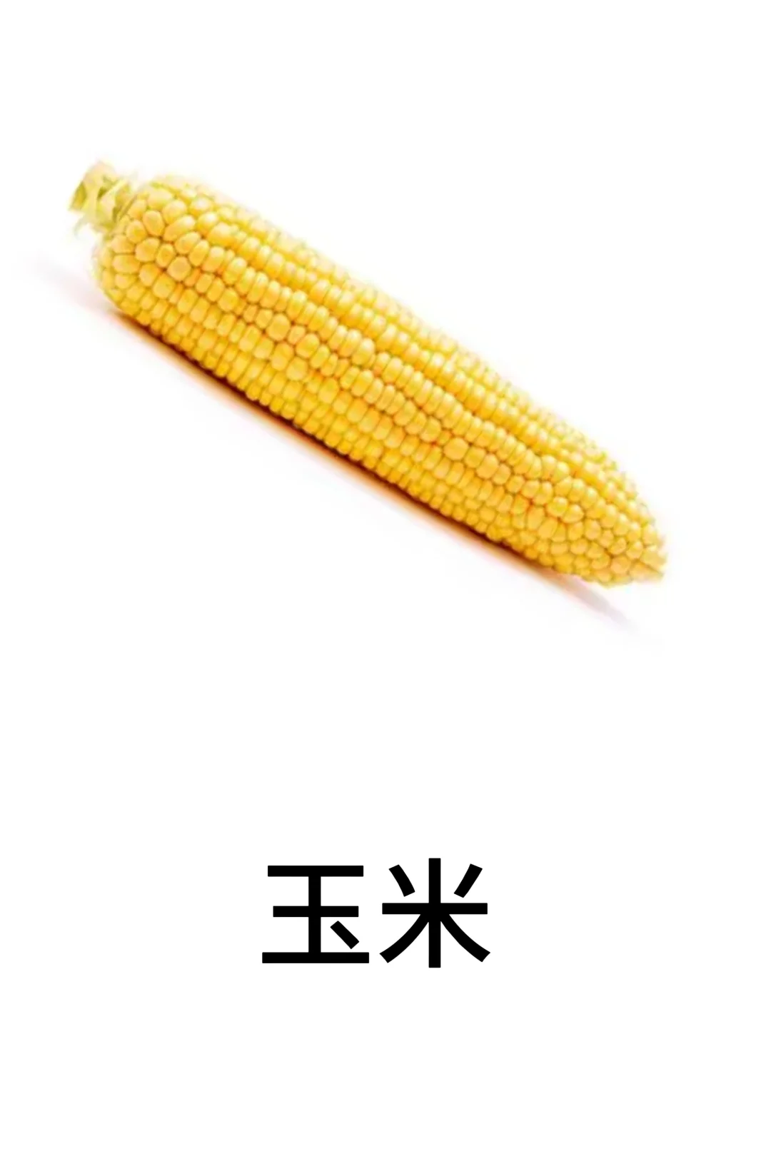 基础认知-蔬菜篇