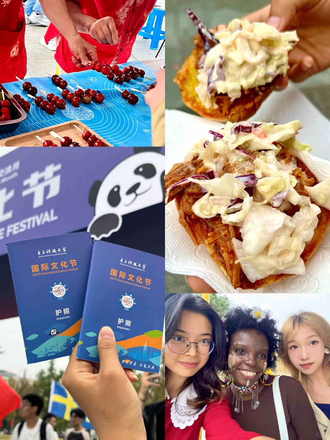 成电研1️⃣｜国际文化交流节～