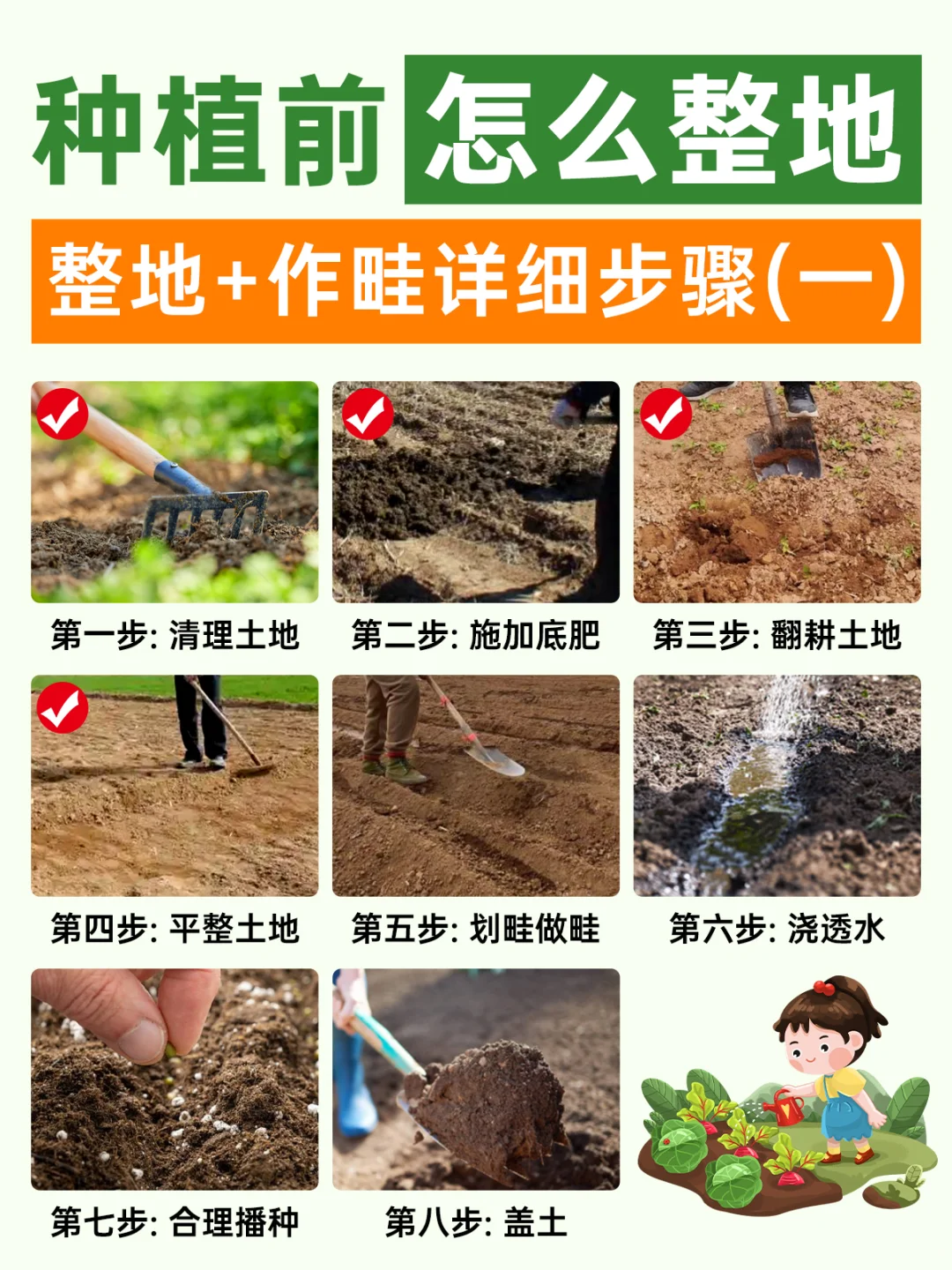 地栽种菜 | 新手整地全流程！?