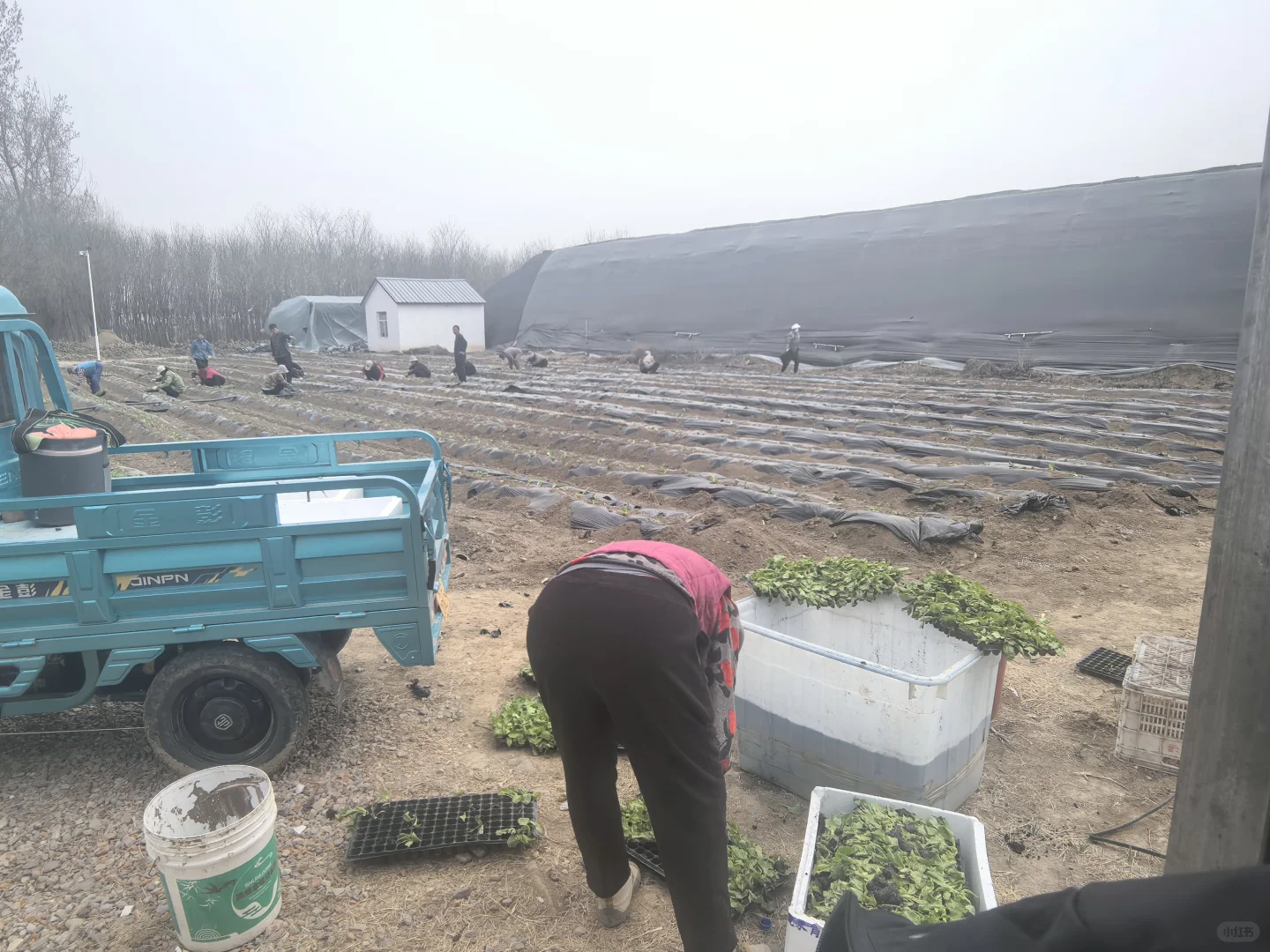 春天是播种的季节愿我们都能迎来丰收的喜悦