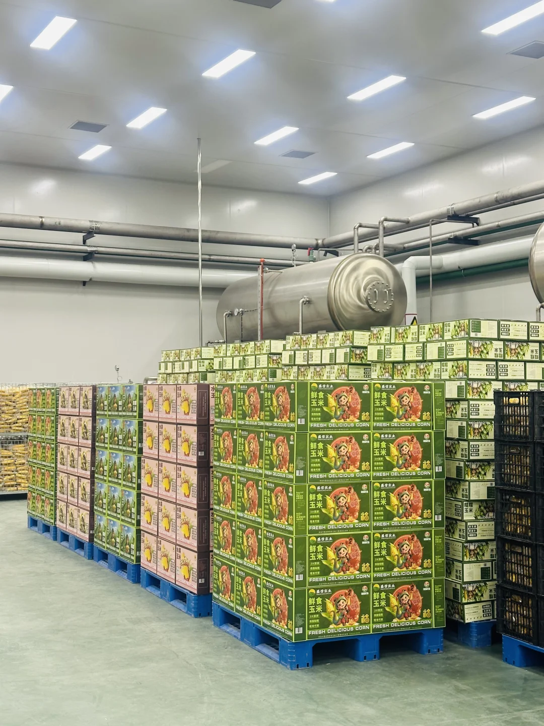 这样的厂房谁会不爱？！