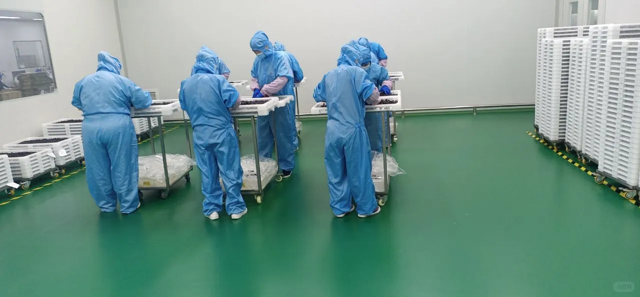 今天不忙别的，看看车间环境