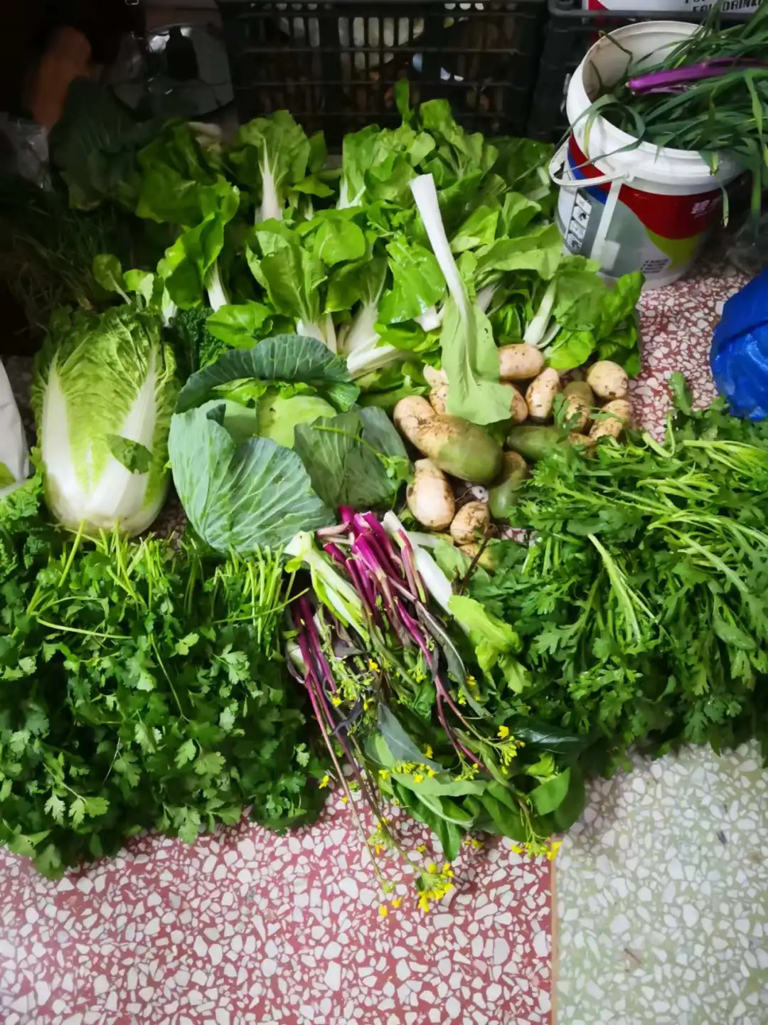 家庭种植有机蔬菜，可与湖北的朋友分享