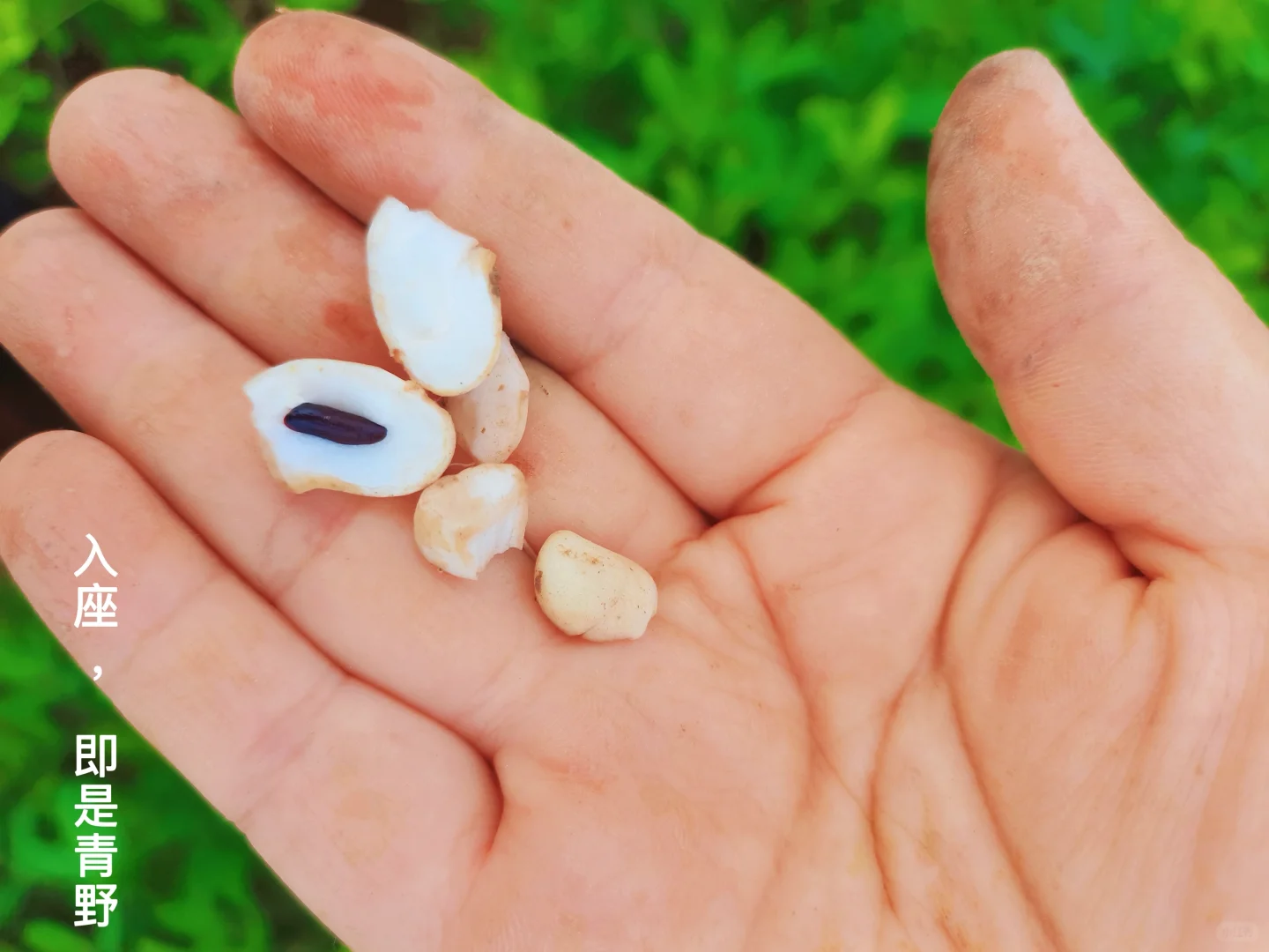 「溯源计划」|和土地一起深呼吸