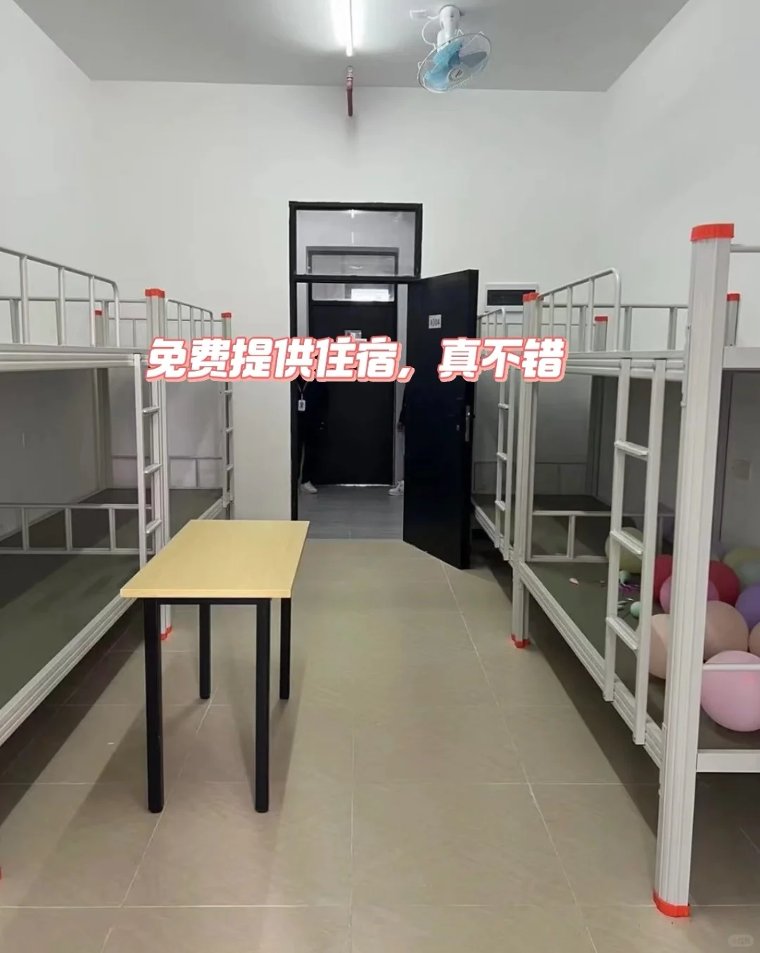 已经适应了石家庄面包厂里的生活