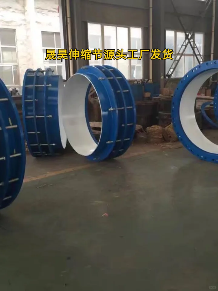 益阳DN80泵阀伸缩节