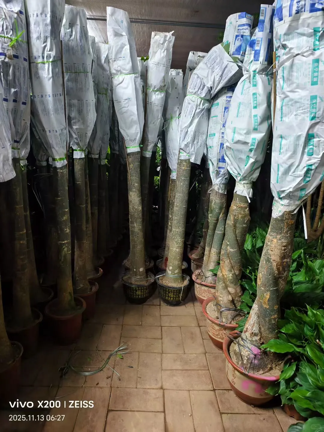 北京鲜花租摆，花卉租赁，绿植租摆公司