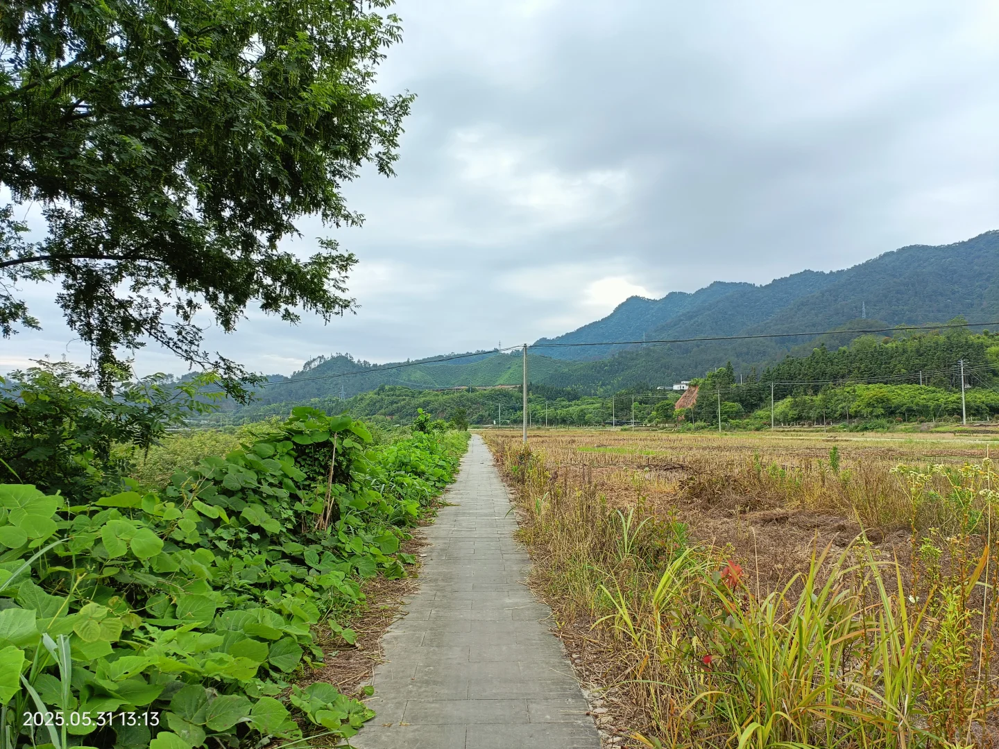 观察农村老人，发现了养老的真相
