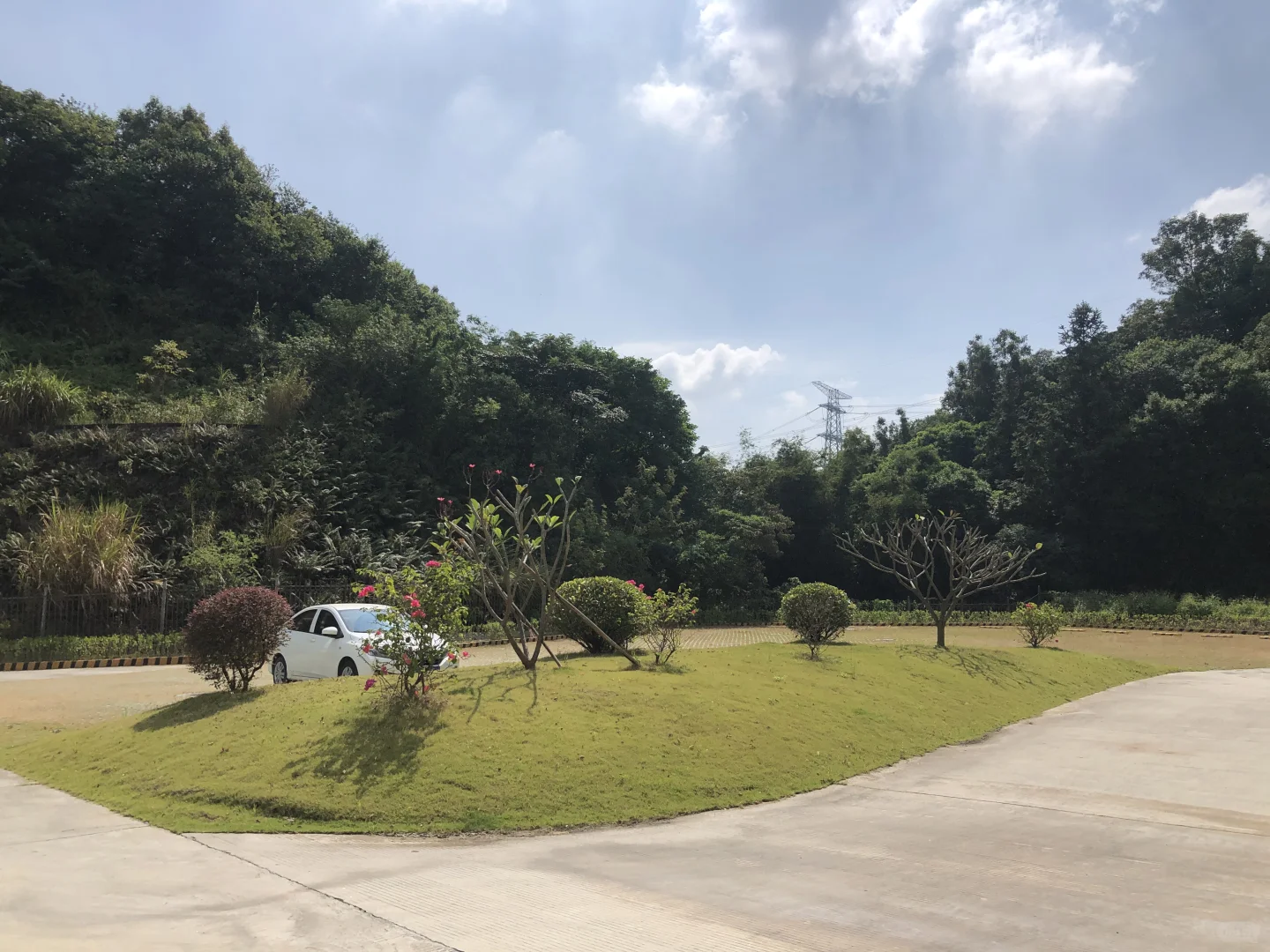 常绿低维护植物组团设计