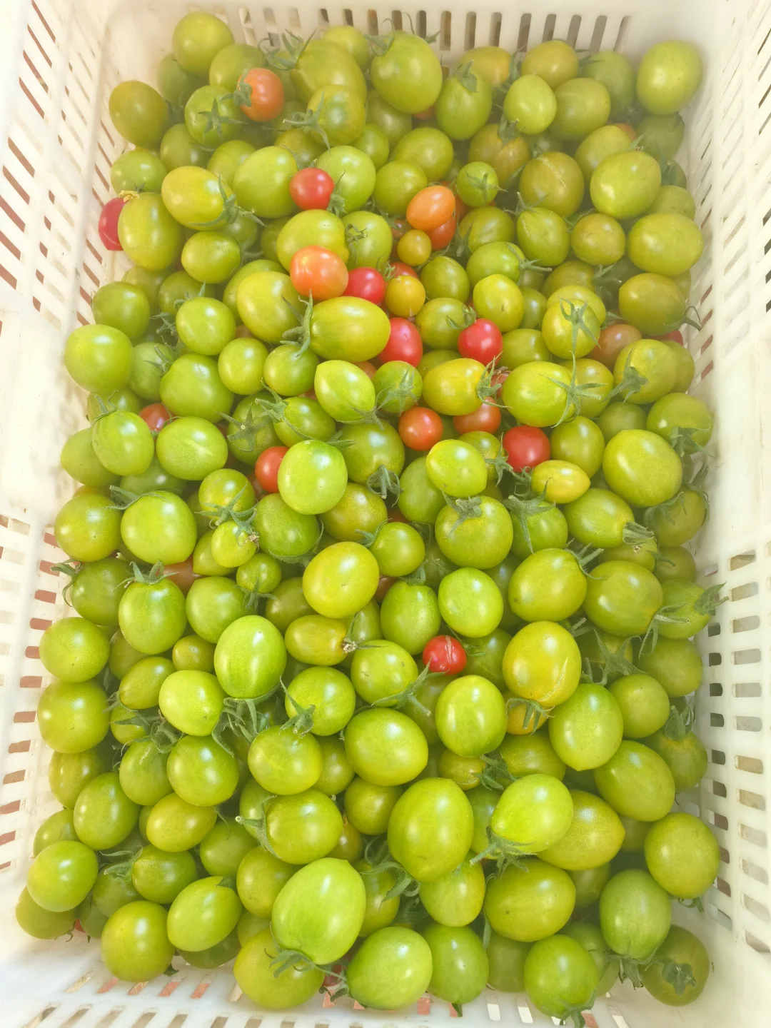 春天是播种的季节愿我们都能迎来丰收的喜悦