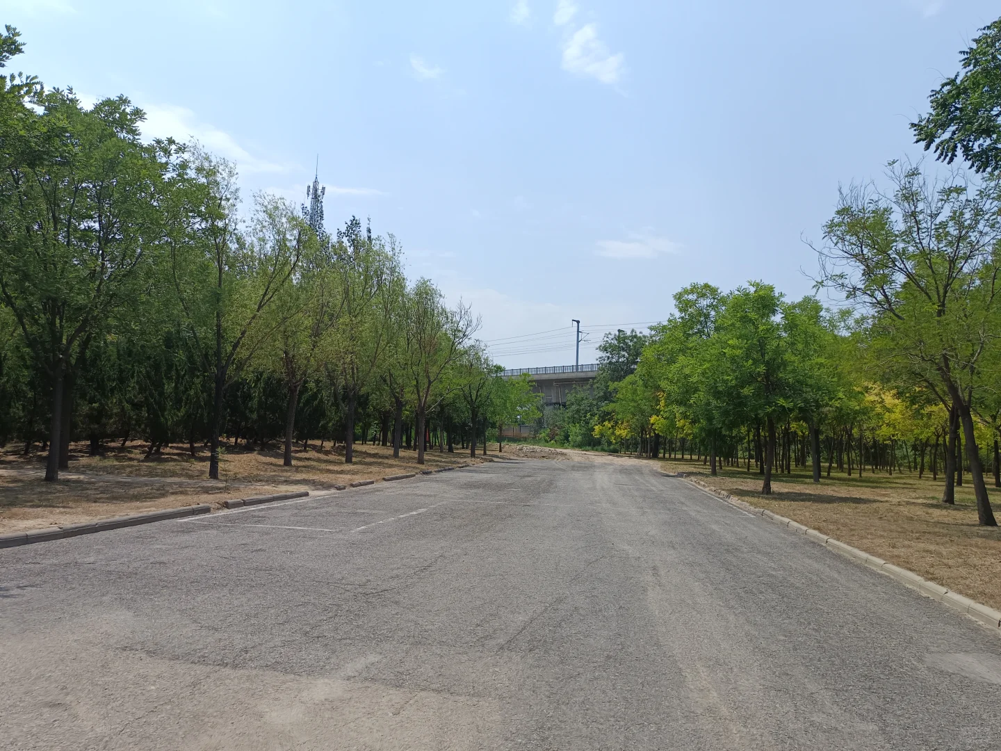 最早生产磷农药的国企是如何把自己逼没的